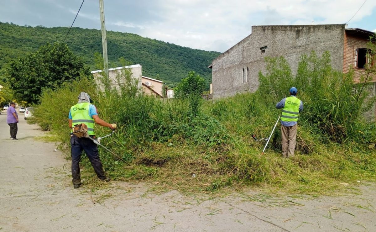 La Municipalidad inició la limpieza de baldíos en mal estado El