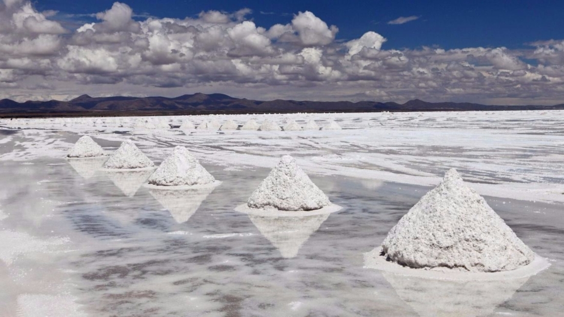 lito sal exportación salta china