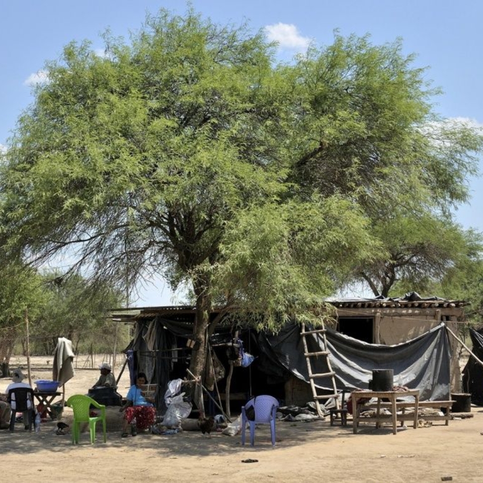 Mandatory Credit: Photo by Florian Kopp/imageBROKER/Shutterstock (7483187a)
Simple huts of the smallholders in the Comunidad Santa Maria, Gran Chaco, Salta Province, Argentina
VARIOUS