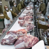 expor carnes