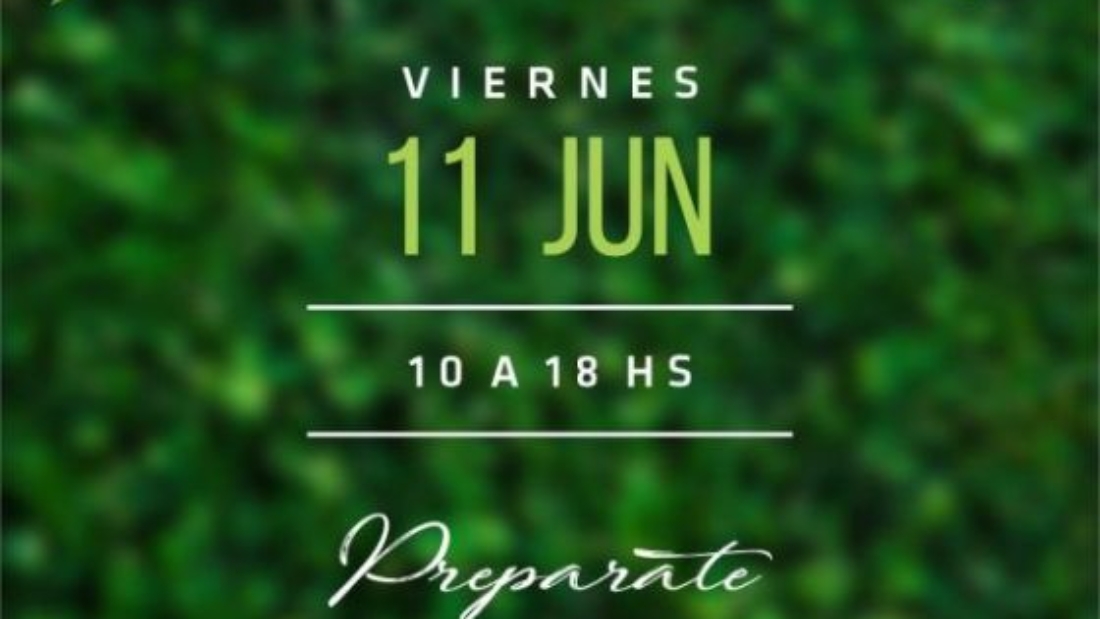 76564-jornada-de-ecocanje-en-el-parque-del-bicentenario