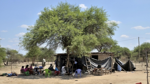 Mandatory Credit: Photo by Florian Kopp/imageBROKER/Shutterstock (7483187a)
Simple huts of the smallholders in the Comunidad Santa Maria, Gran Chaco, Salta Province, Argentina
VARIOUS