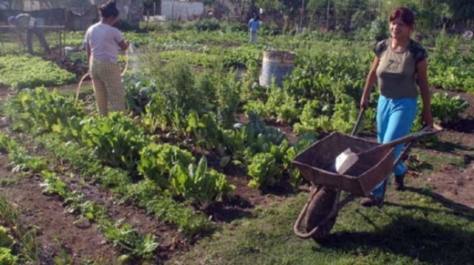 Agricultura familiar