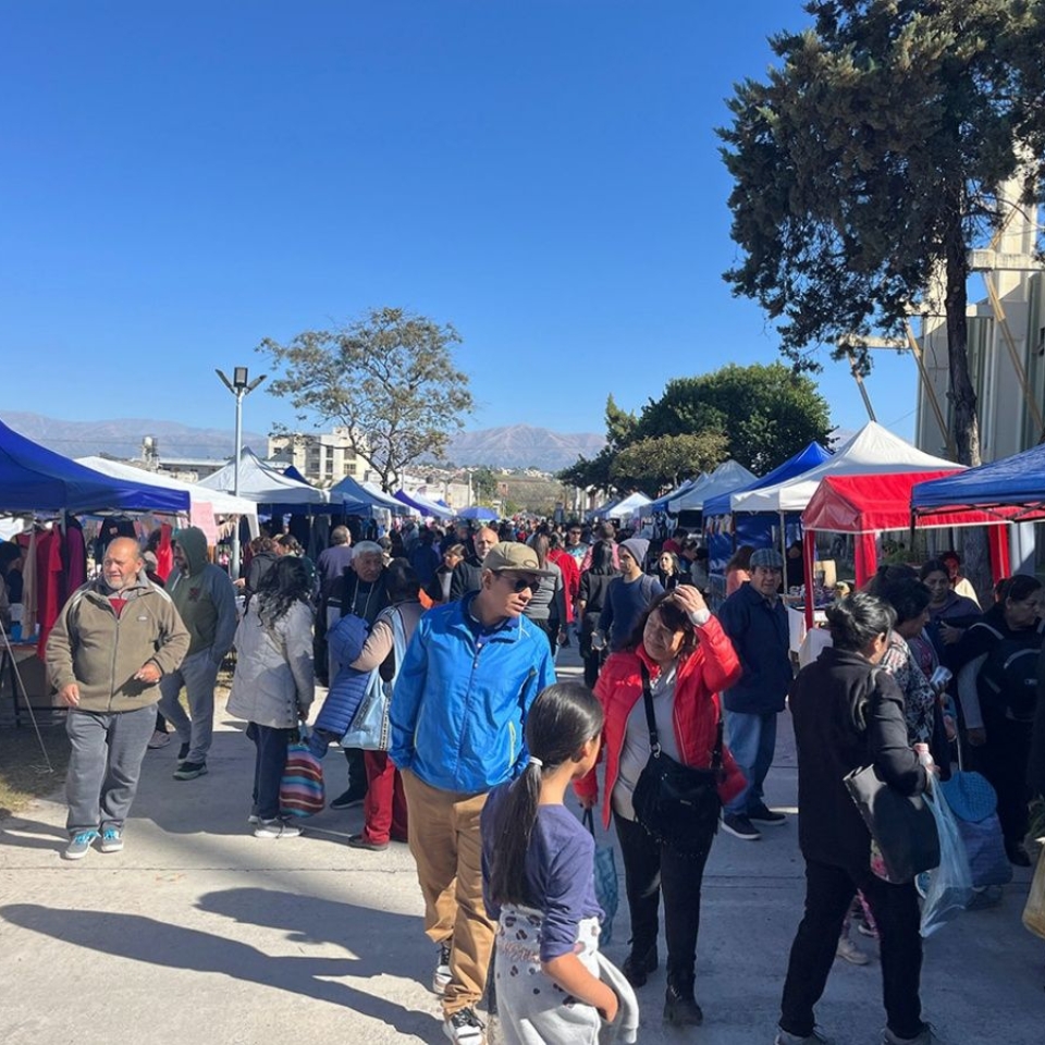 Expo Mercado