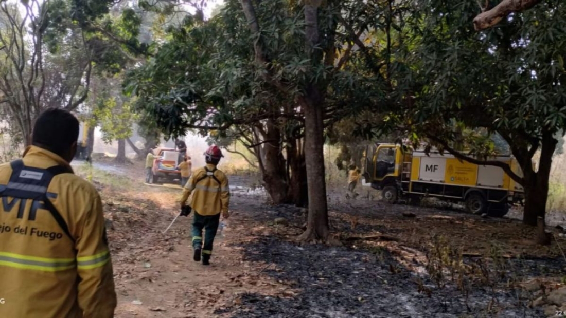 Incendio Forestal