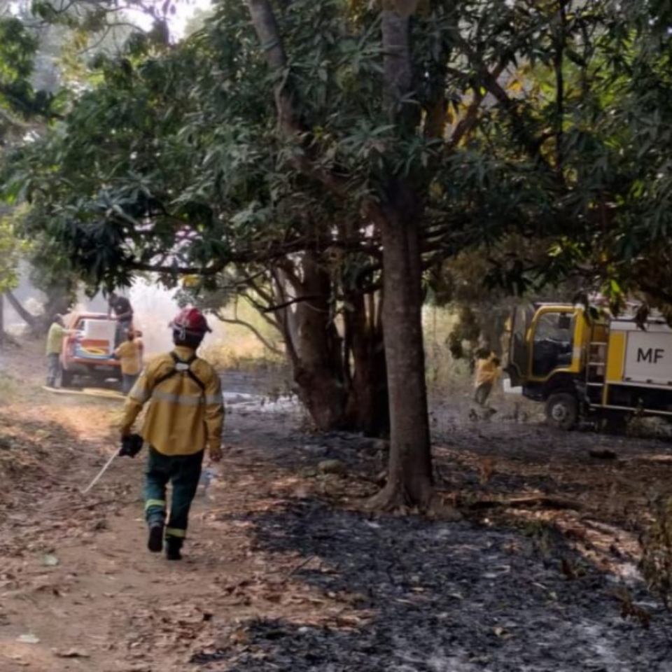 Incendio Forestal