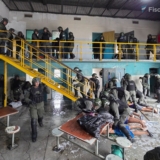 Drogas Penal