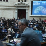 Menem - Diputados