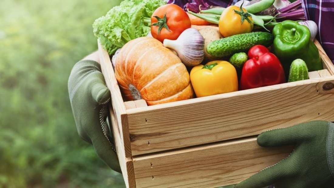 vegetales