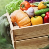 vegetales