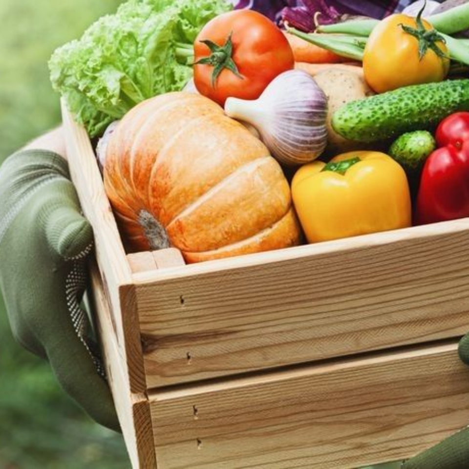 vegetales